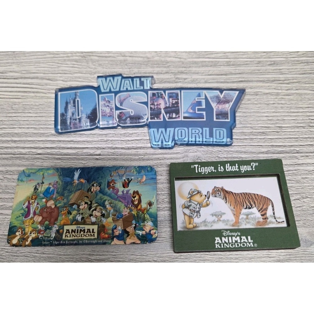 Vintage Walt Disney World /ANIMAL KINGDOM LOT OF 3 MAGNETS E4